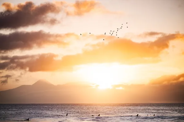 Golden sunset with surfers and birds in formation