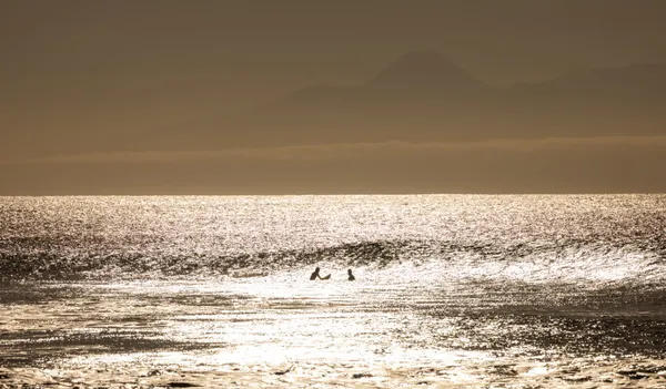 Two surfers silhouetted on golden sea