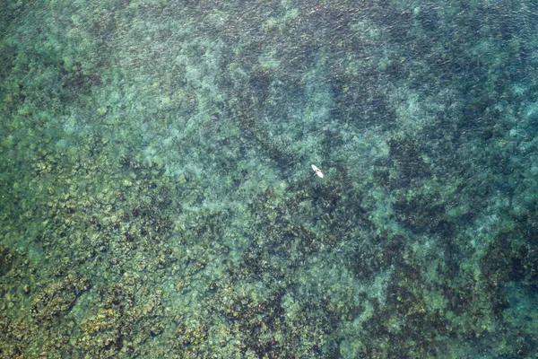 Top-down aerial of surfer on crystal reef
